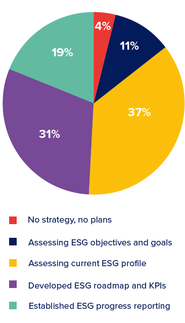 How developed is your organisation ESG strategy?